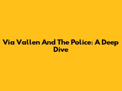 Via Vallen And The Police: A Deep Dive