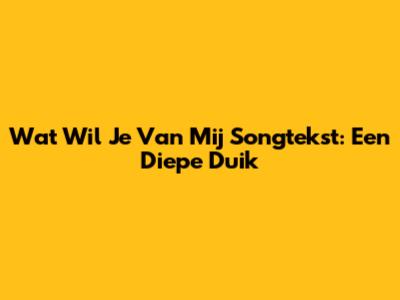 Wat Wil Je Van Mij Songtekst: Een Diepe Duik