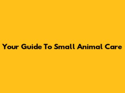 Your Guide To Small Animal Care